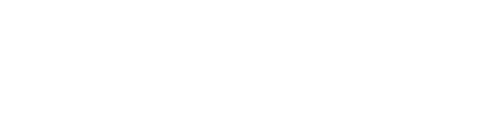 Brisk Outdoor Lighting logo